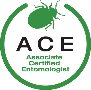 ACE logo