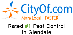 Top-rated pest control in Glendale, Arizona