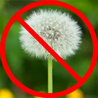 weed control