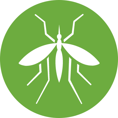 Mosquitos