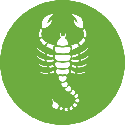 Scorpions