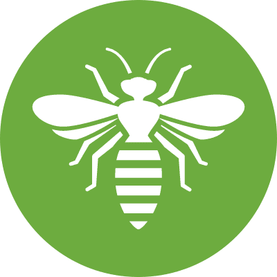 Stinging Insects