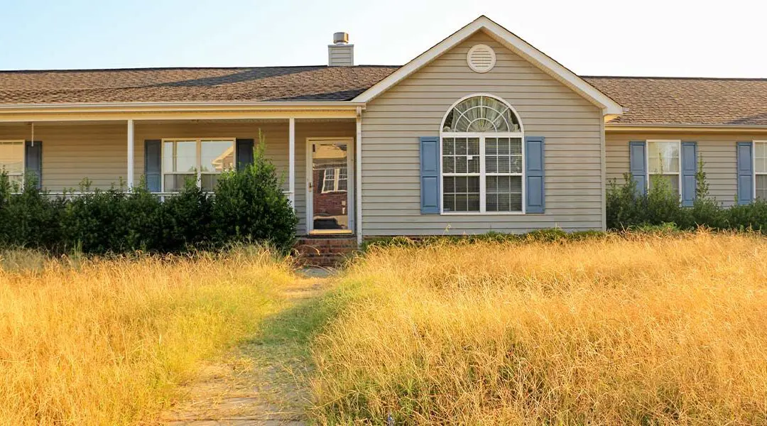 Prevent the Flames: How Weed Control Can Protect Your Property and Your Wallet