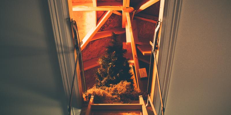 Have You Checked Your Attic This Winter?