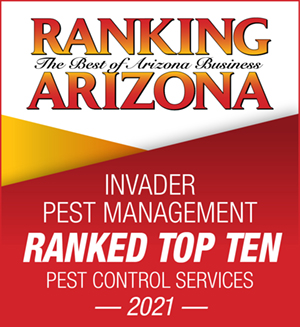 Rated Top 10 Pest Control by Ranking Arizona