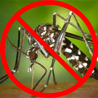 prevent mosquitos
