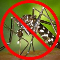 mosquito control prevent mosquitos