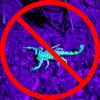 get rid of scorpions