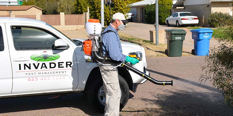 The Importance of Pest Control Service in Phoenix