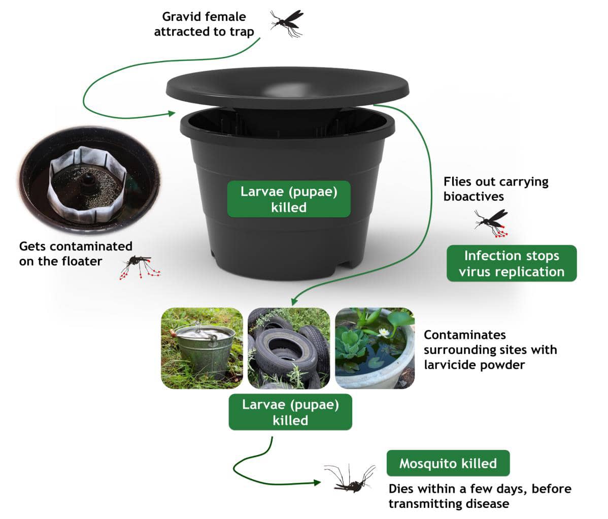 commercial mosquito control - In2Care infographic