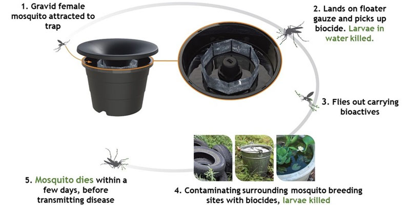 MosquitoProof In2Care