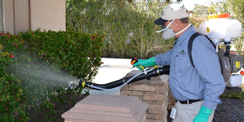 The Importance of Pest Control Services in Glendale