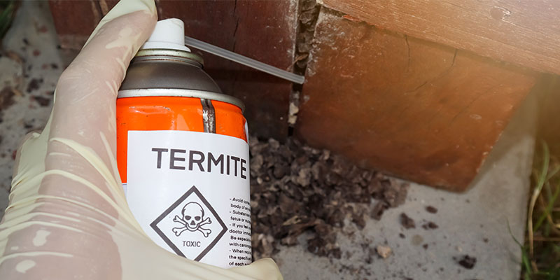 What DIY Kit Sellers Don't Tell You About Professional Pest Control