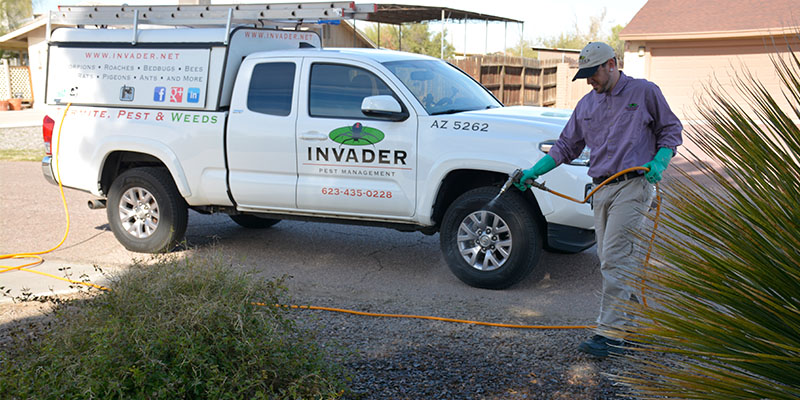 The Evolution of Pest Control:  From Power Spraying to Modern, Eco-Friendly Solutions