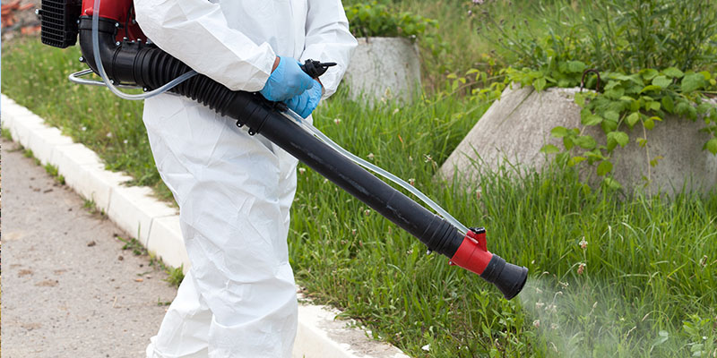 Mosquito Control – Do It Now and Enjoy Your Summer without Worry