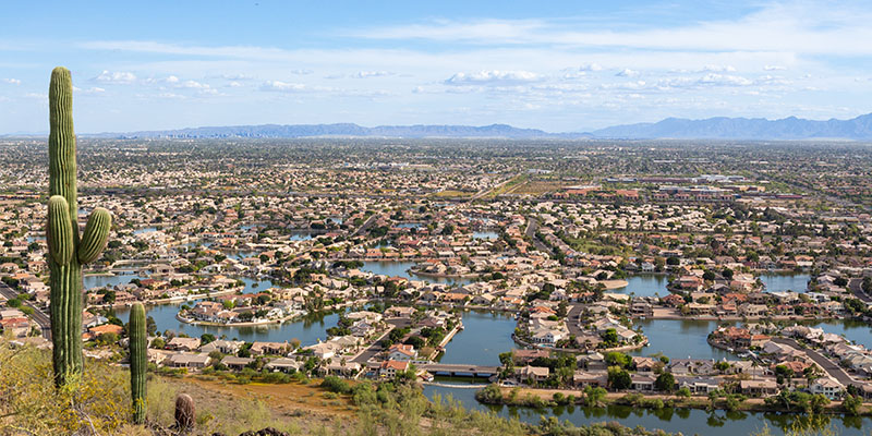 Welcome to Spring Glendale! It’s All Crawling Now!