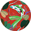 robin Avatar