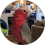 Pamela Wingett Avatar
